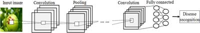 Apple Disease Recognition Based on Convolutional Neural Networks With Modified Softmax
